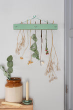 Load image into Gallery viewer, Flower Drying Kit - Pink or Green Wash