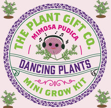 Load image into Gallery viewer, Eco Mini Grow Kit - Dancing Plants / Mimosa Pudica