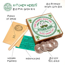 Load image into Gallery viewer, Eco Mini Grow Kit - Kitchen Herbs / Basil