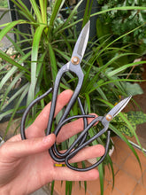 Load image into Gallery viewer, Metal Shears