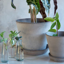 Load image into Gallery viewer, Julie Grey Plant Pots - *Local Delivery or Local Pick Up Only*