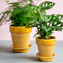 Load image into Gallery viewer, Simona Yellow Glazed Plant Pots - *Local Delivery or Local Pick Up Only*