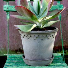 Load image into Gallery viewer, Copenhagen Grey Plant Pots - *Local Delivery or Local Pick Up Only*