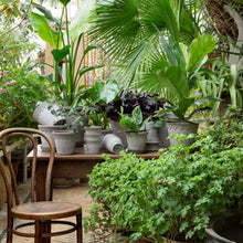 Load image into Gallery viewer, Copenhagen Grey Plant Pots - *Local Delivery or Local Pick Up Only*