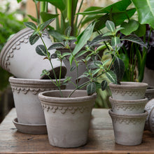Load image into Gallery viewer, Copenhagen Grey Plant Pots - *Local Delivery or Local Pick Up Only*