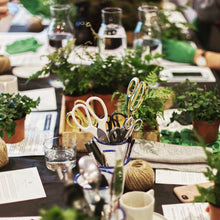 Load image into Gallery viewer, Make Your Own Kokedama Moss Ball Workshop