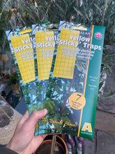 Load image into Gallery viewer, Yellow Sticky Pest Traps