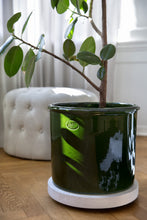 Load image into Gallery viewer, Modena Green Glazed Plant Pots - *Local Delivery or Local Pick Up Only*
