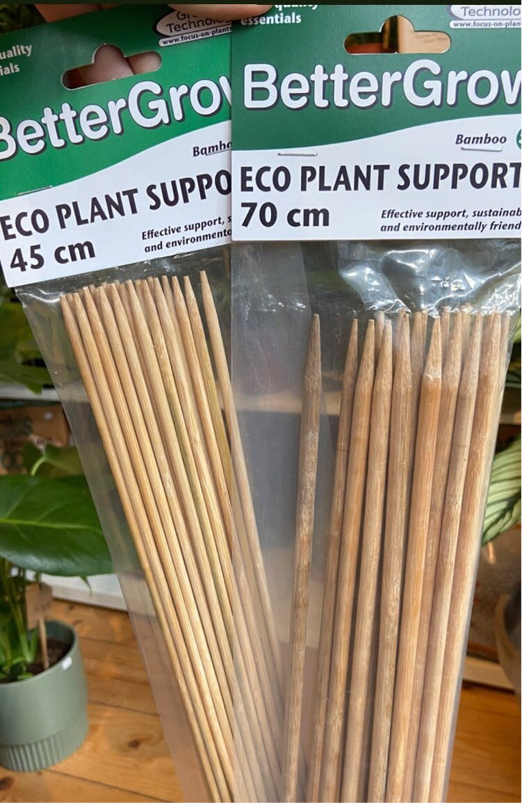 Bamboo Plant Supports Pilea Plant Shop