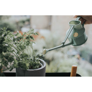 Haws Langley Sprinkler Watering Can - Sage