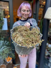 Load image into Gallery viewer, Fresh Sphagnum Moss - Price Per Half Bag
