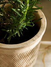 Load image into Gallery viewer, Textured Stoneware Plant Pots

