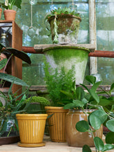 Load image into Gallery viewer, Mustard Glazed Plant Pot With Saucer - *Local Delivery or Local Pick Up Only*
