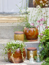 Load image into Gallery viewer, Mustard Glazed Plant Pot With Saucer - *Local Delivery or Local Pick Up Only*
