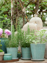 Load image into Gallery viewer, Dusty Green Glazed Plant Pot With Saucer
