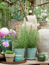 Load image into Gallery viewer, Dusty Green Glazed Plant Pot With Saucer
