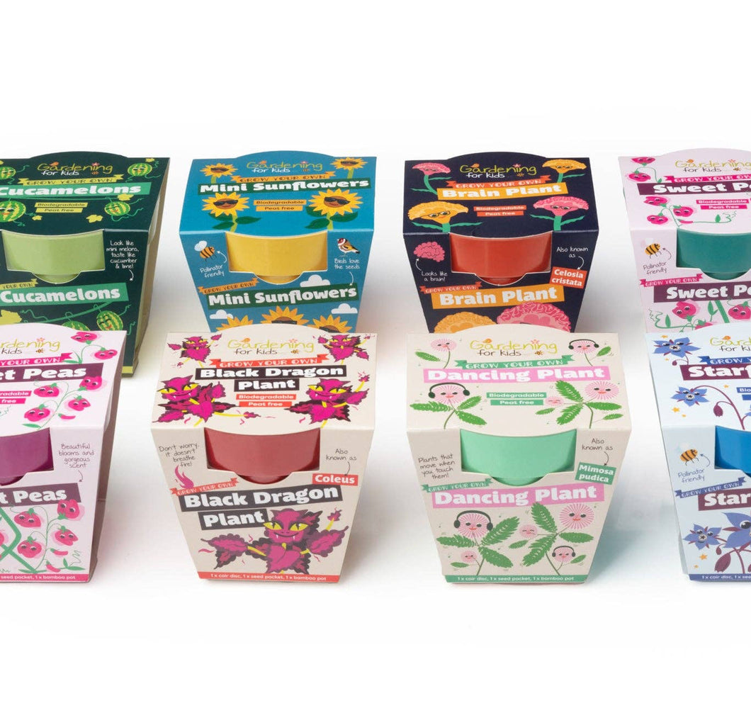 Children's Growing Kits