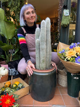 Load image into Gallery viewer, Cleistocactus strausii / Silver Torch / Wooly Torch - *Local Delivery or Local Pick Up Only*
