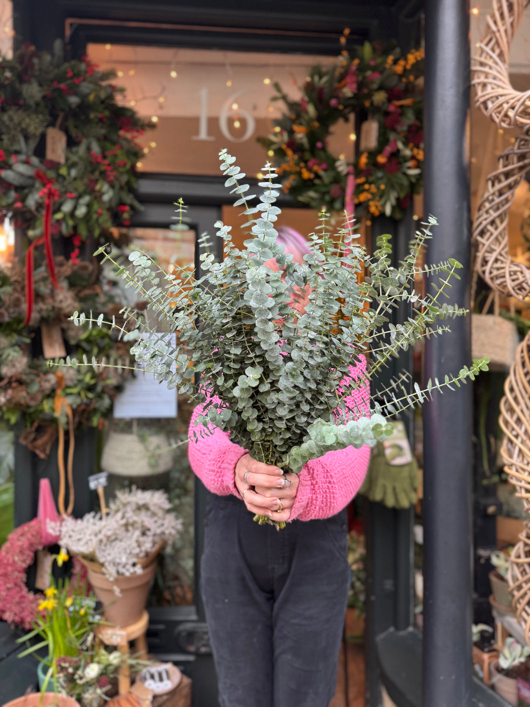 Eucalyptus Baby Blue - Price Per Bunch