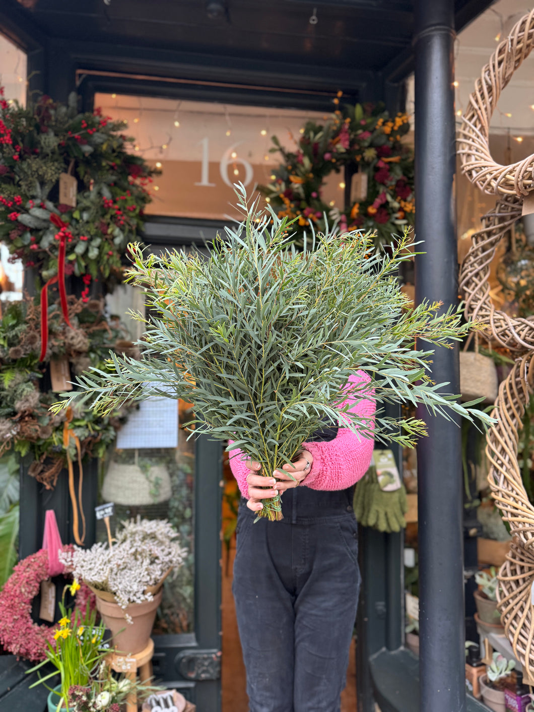 Eucalyptus nicholii - Price Per Bunch