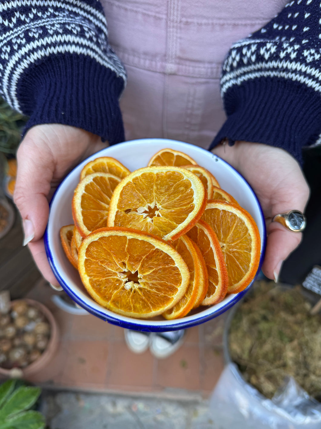 Dried Orange Slices