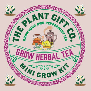 Eco Mini Grow Kit - Herbal Tea / Peppermint