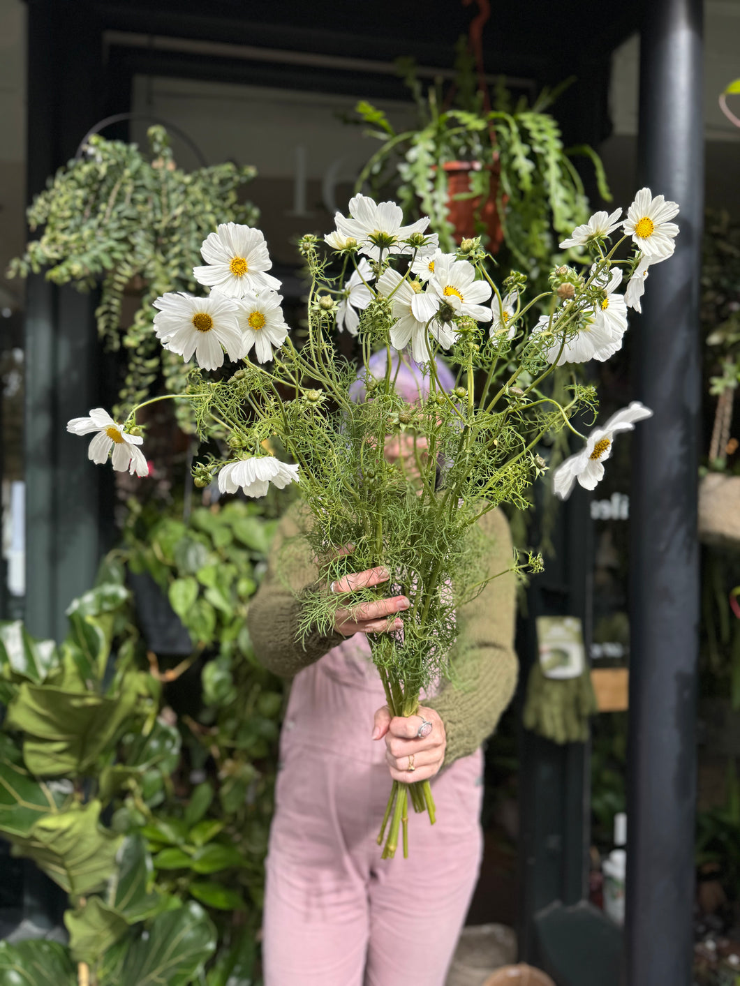 Cosmos White Purity - Price Per Bunch