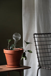 Glass Watering Bulbs