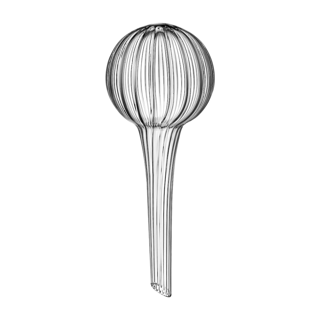 Glass Watering Bulbs