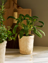Load image into Gallery viewer, Textured Stoneware Plant Pots
