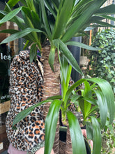 Load image into Gallery viewer, Yucca elephantipes / Spineless Yucca - *Local Delivery Or Pick Up Only *
