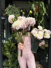 Load image into Gallery viewer, Dahlia Silver Years - Price Per Bunch

