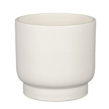 Load image into Gallery viewer, Matt White Plant Pots - *Local Delivery or Local Pick Up Only*
