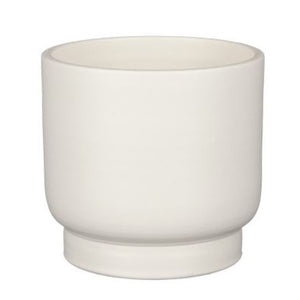 Matt White Plant Pots - *Local Delivery or Local Pick Up Only*