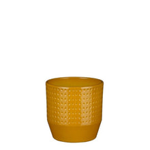 Load image into Gallery viewer, Ochre Dot Textured Glazed Plant Pots - *Local Delivery or Local Pick Up Only*
