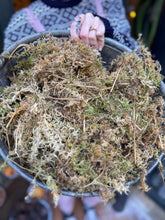 Load image into Gallery viewer, Fresh Sphagnum Moss - Price Per Half Bag
