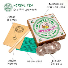 Load image into Gallery viewer, Eco Mini Grow Kit - Herbal Tea / Peppermint
