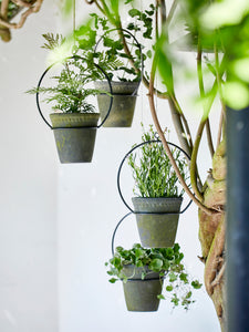 hanging plant hoop Metal Hanging Plant Hoop – Pilea Plant Shop