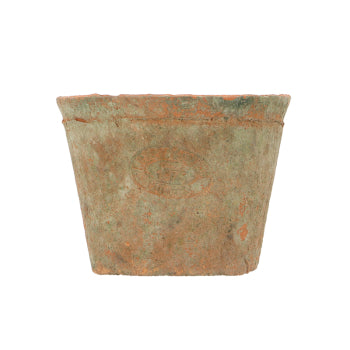 Aged Terracotta Plant Pots - *Local Delivery or Local Pick Up Only*