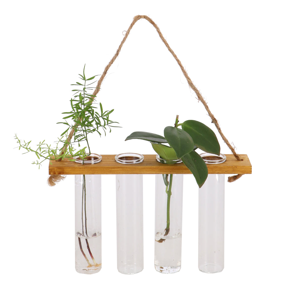 test tube plant hanger Hanging Glass Test Tube Propagation Station – Pilea Plant Shop