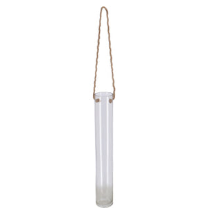 Hanging Glass Propagation Vases