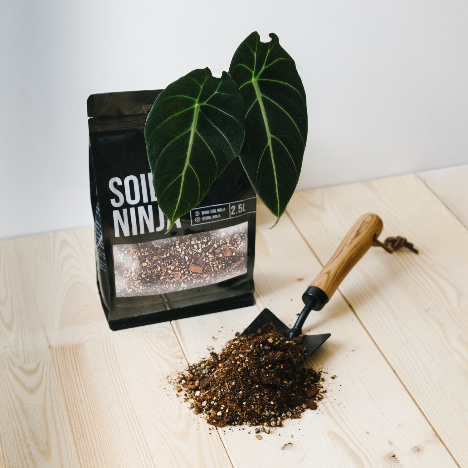 best potting mix for alocasia Soil Ninja Premium Alocasia Blend 2.5L