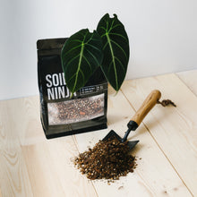 Load image into Gallery viewer, Soil Ninja Premium Alocasia Blend 2.5L
