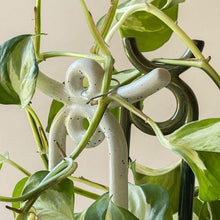 Load image into Gallery viewer, Folk Yuma Glazed Ceramic Plant Stakes
