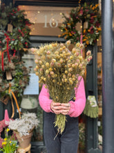 Load image into Gallery viewer, Dried Nigella / Love In The Mist - Price Per Bunch
