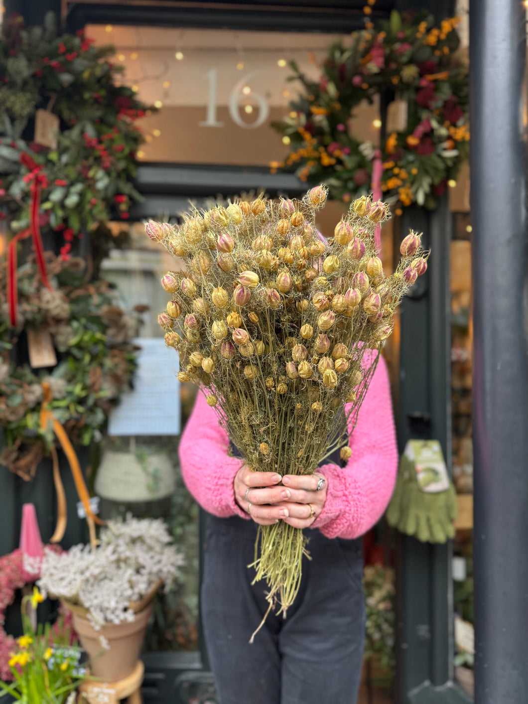Dried Nigella / Love In The Mist - Price Per Bunch