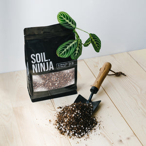 Soil Ninja Premium Calathea & Maranta Blend 2.5L