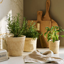 Load image into Gallery viewer, Textured Stoneware Plant Pots
