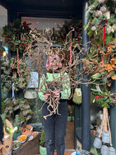 Load image into Gallery viewer, Coryllus / Contorted Hazel / Corkscrew Hazel - Price Per Stem
