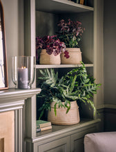 Load image into Gallery viewer, Hand-Crafted Terracotta Plant Pots
